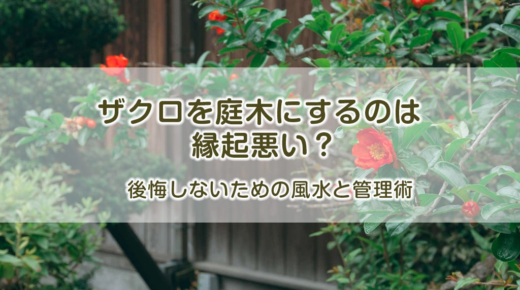 ザクロを庭木にするのは縁起悪い？後悔しないための風水と管理術