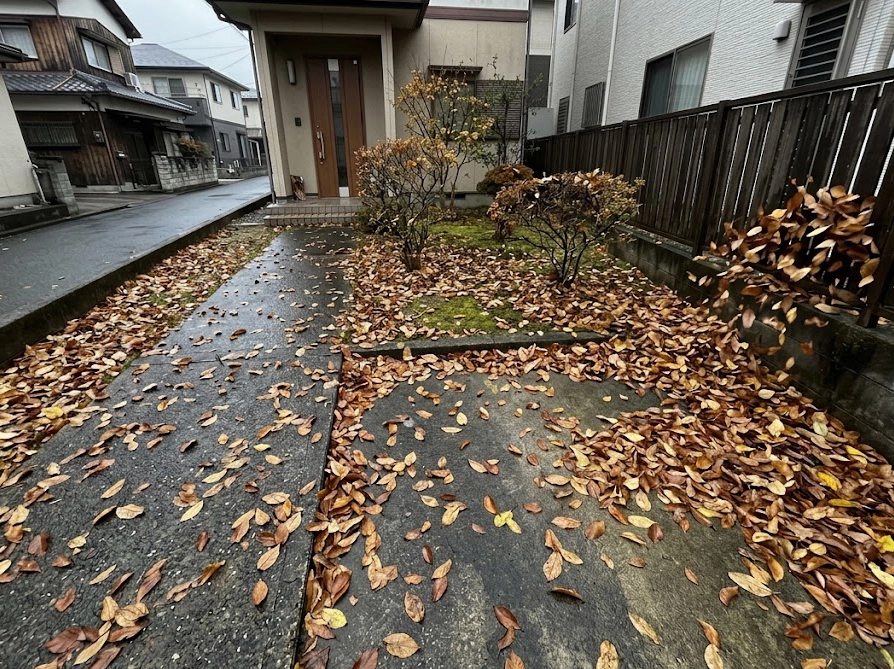 秋に大量の落ち葉が住宅のコンクリート通路や隣家フェンスに散らばった様子