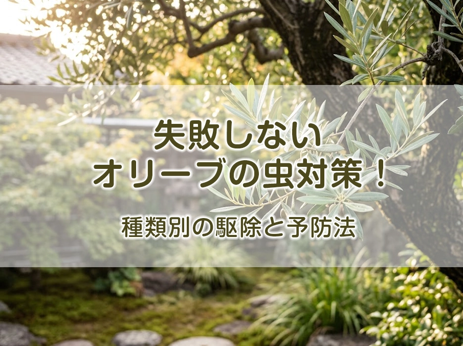 失敗しないオリーブの虫対策！種類別の駆除と予防法