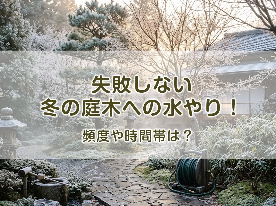 失敗しない冬の庭木への水やり！頻度や時間帯は？