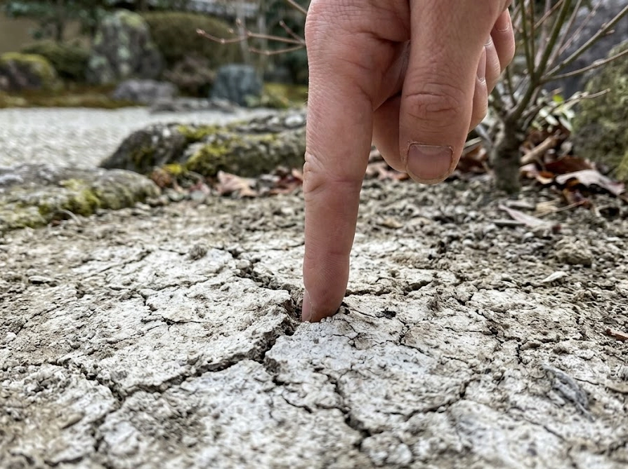 冬の庭で白く乾いた土の表面を指で掘って湿り気を確認している様子