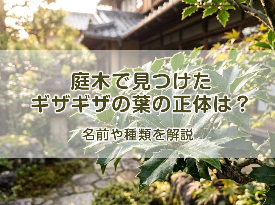 庭木で見つけたギザギザの葉の正体は？名前や種類を解説
