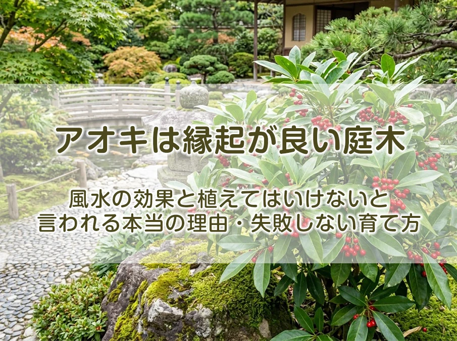 アオキは縁起が良い庭木｜風水の効果と植えてはいけないと言われる本当の理由・失敗しない育て方