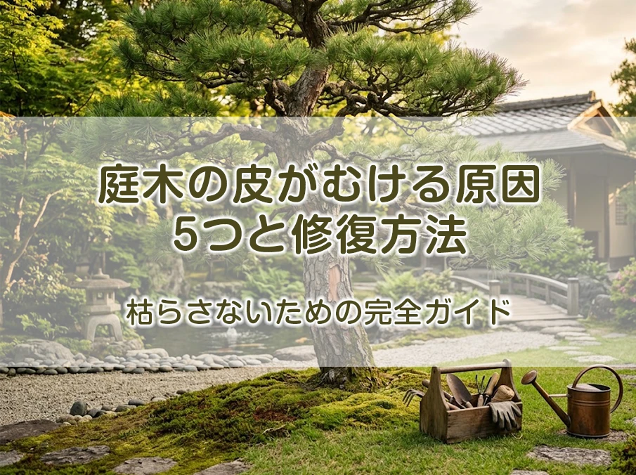庭木の皮がむける原因5つと修復方法｜枯らさないための完全ガイド