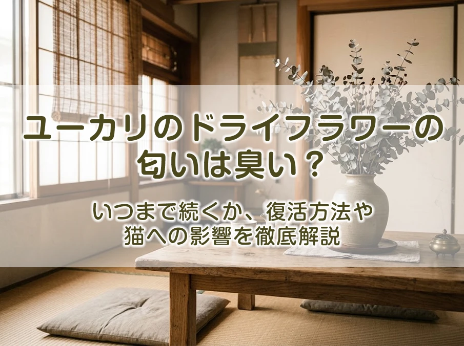 ユーカリのドライフラワーの匂いは臭い?いつまで続くか、復活方法や猫への影響を徹底解説