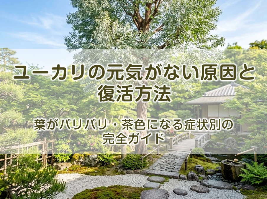 ユーカリの元気がない原因と復活方法|葉がパリパリ・茶色になる症状別の完全ガイド