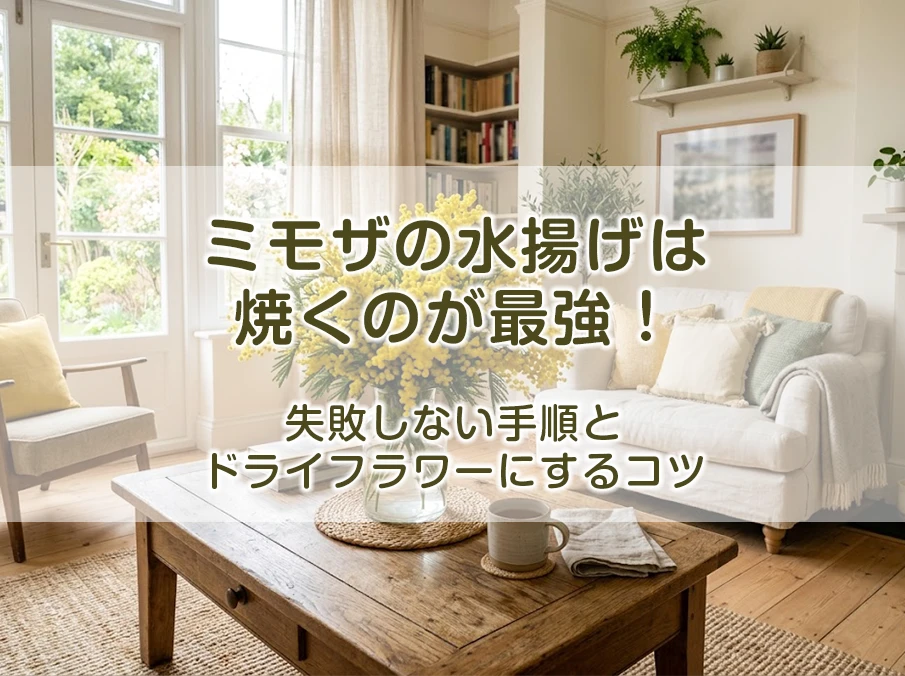 ミモザの水揚げは焼くのが最強!失敗しない手順とドライフラワーにするコツ