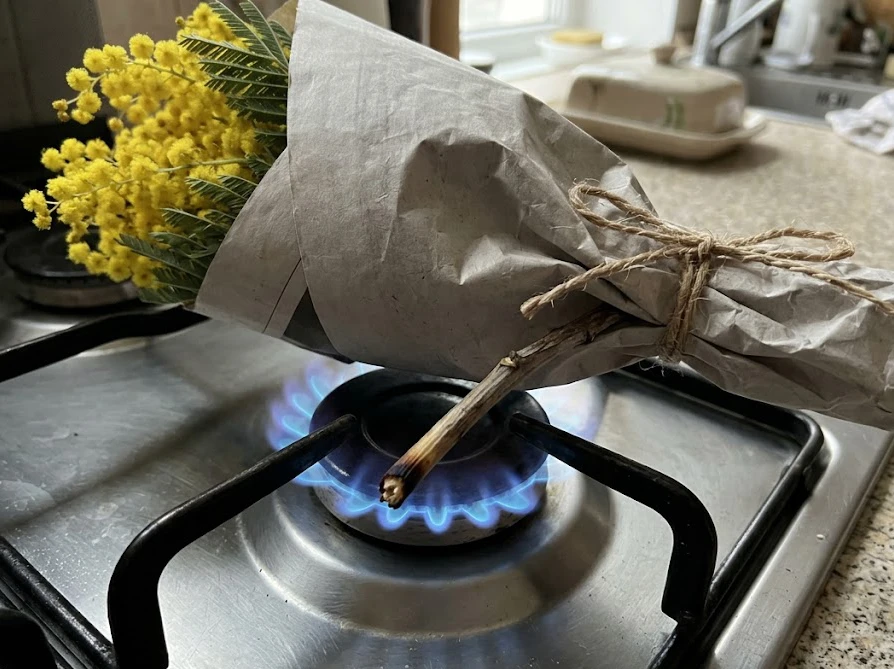 花を守るために新聞紙で巻きミモザの茎だけをコンロの炎で焼く手順