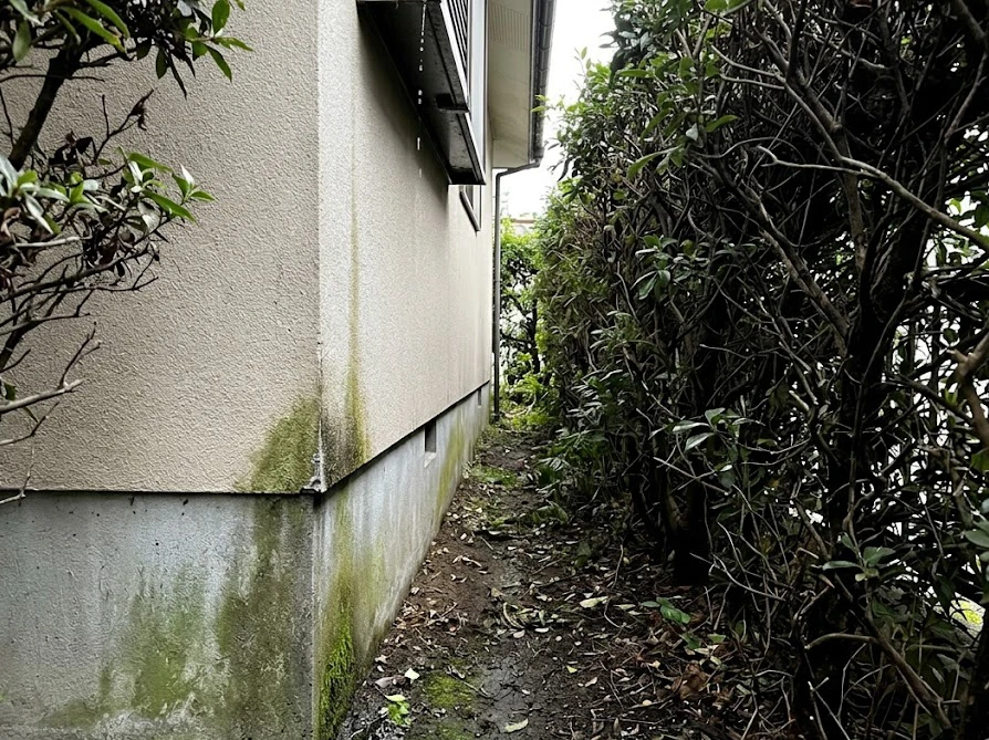 植木が密集して風通しや日当たりが悪くなり、湿気がこもった基礎コンクリート
