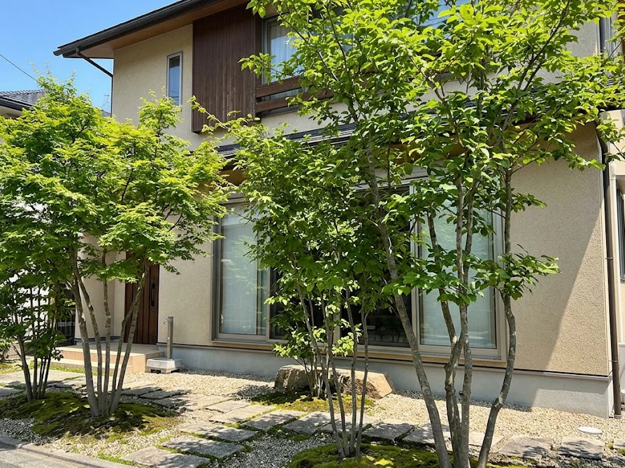 足元の視線を抜くことで防犯性を高めつつ、窓の目隠しにもなる株立ちの庭木