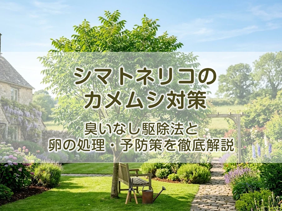 シマトネリコのカメムシ対策｜臭いなし駆除法と卵の処理・予防策を徹底解説